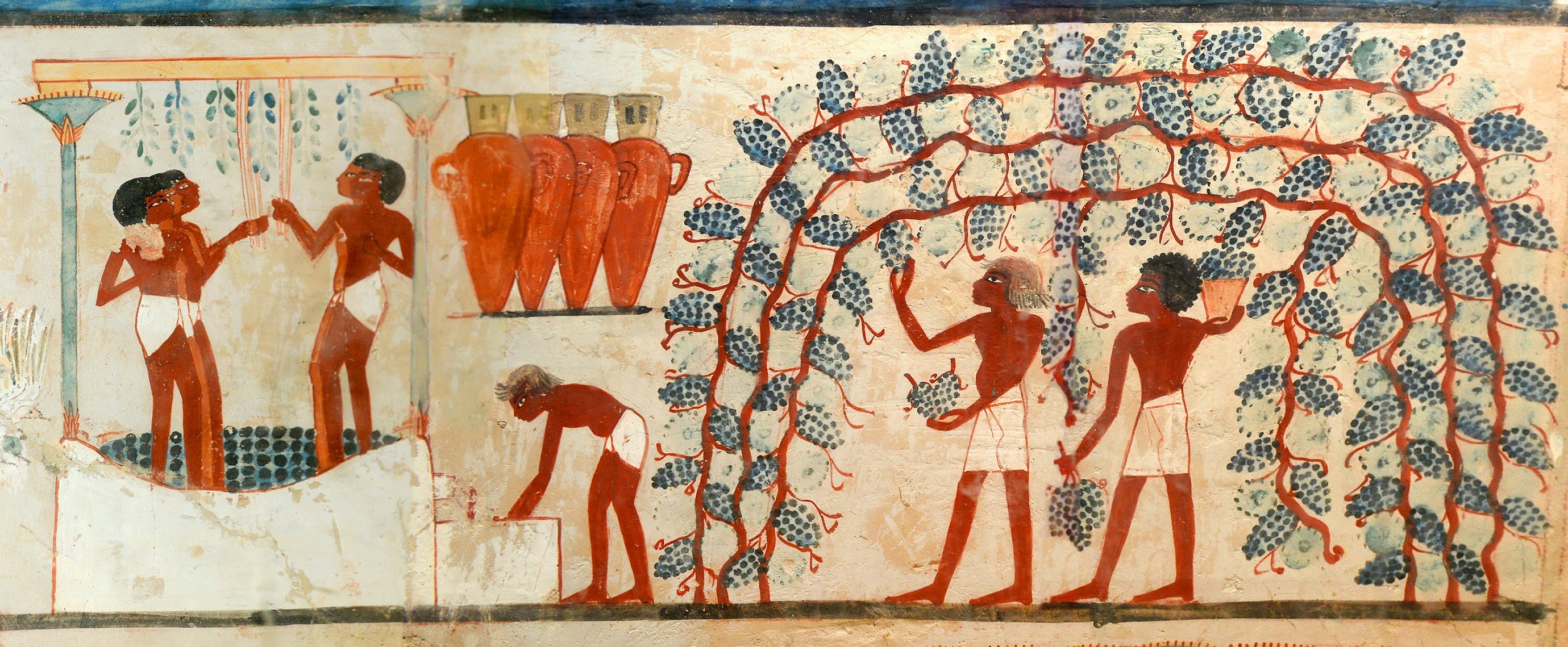 Irep Nefer Il Vino Buono Dell Antico Egitto Il Calice Di Ebe