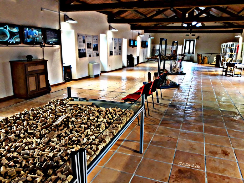 Museo del sughero