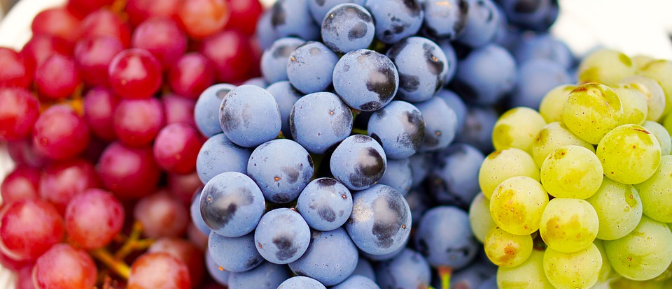 Profumi varietali o primari delle uve