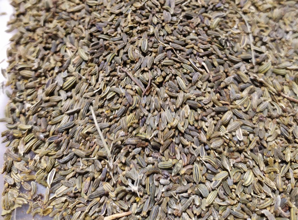 Sardella caviale calabrese semi di finocchietto selvatico